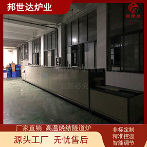 齿科素烧推板窑 磷酸铁锂推板炉 热处理炉